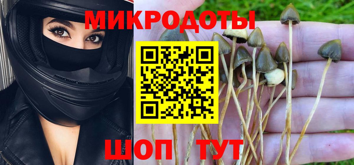 Псилоцибиновые грибы Magic Shrooms Ковров